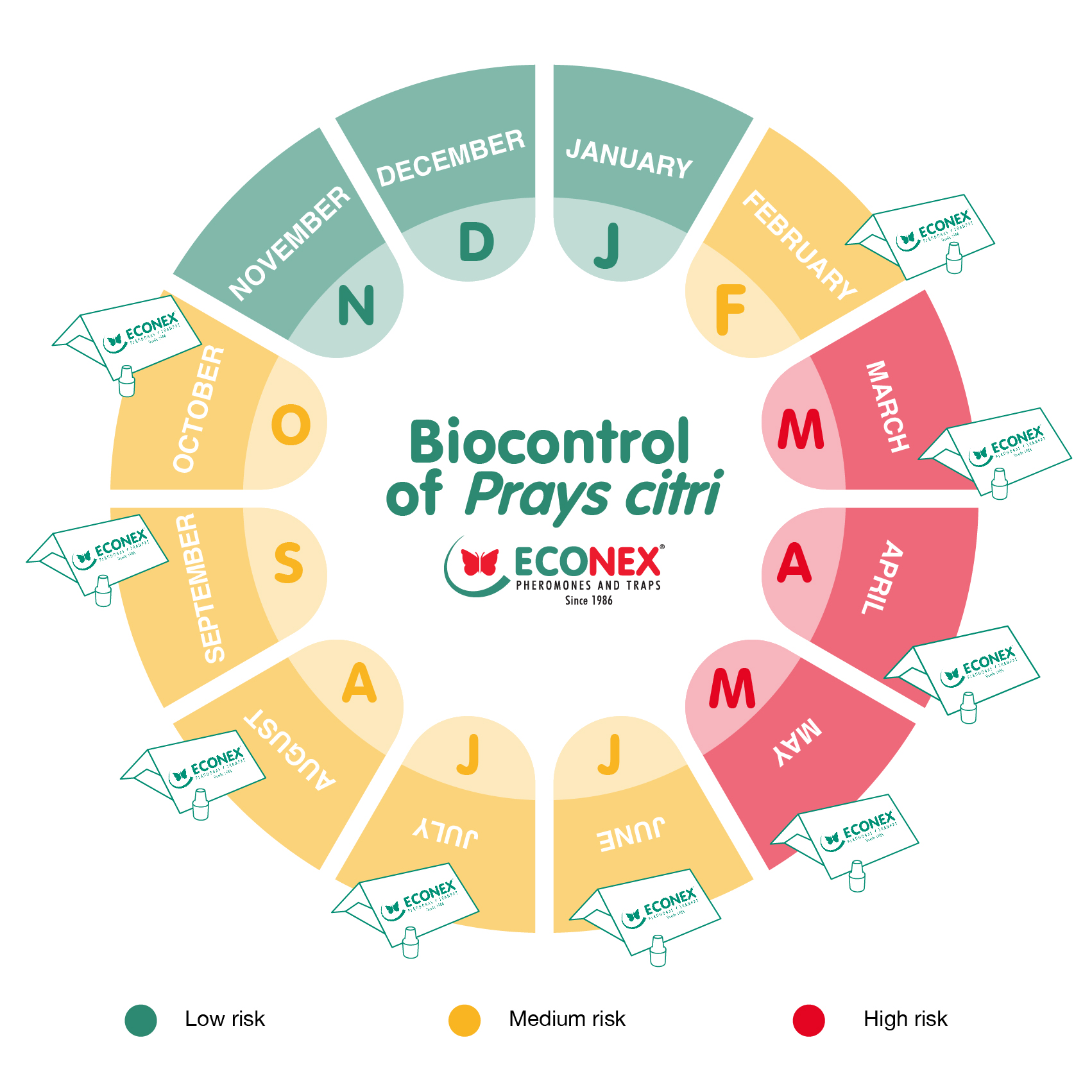 Biocontrol of prays citri with ECONEX solutions